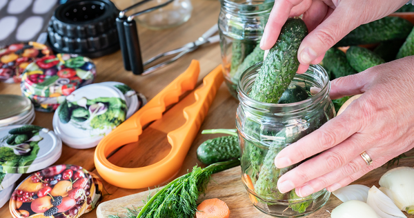 NAKLÁDANÉ SLADKOKYSELÉ OKURKY 