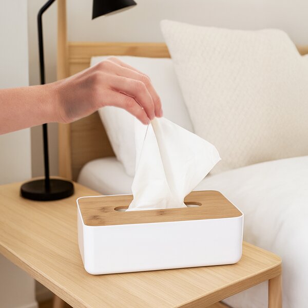 Box na papírové kapesníky WHITNEY