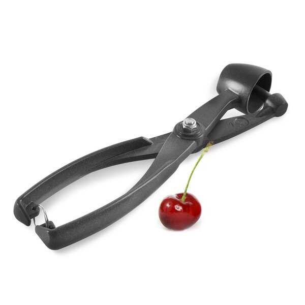 Odpeckovač třešní