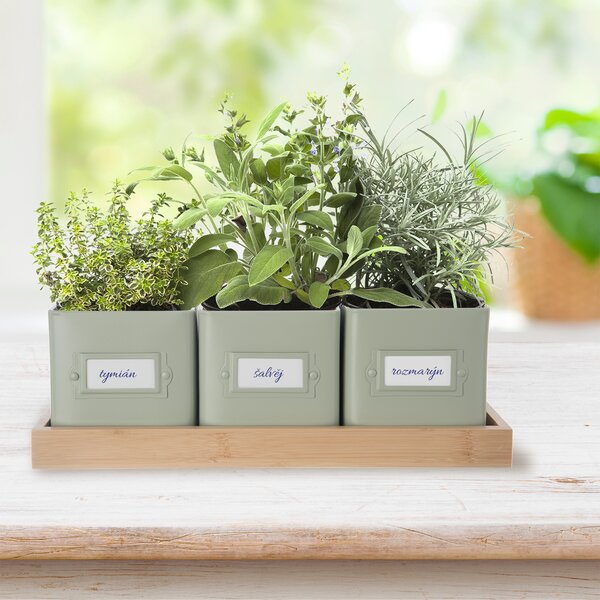 Květináč bylinky GREENISH 11,5x11,5 cm 3 ks+podtácek