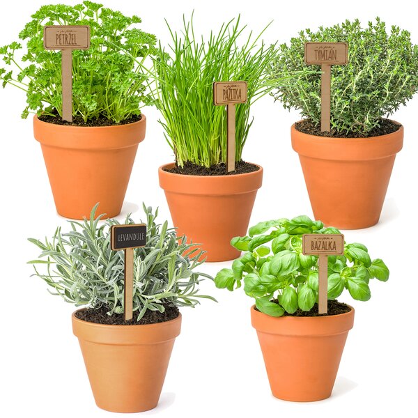 Zápich do květináče uni