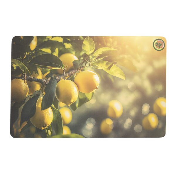 Prostírání 43,5x28,5 cm ovoce