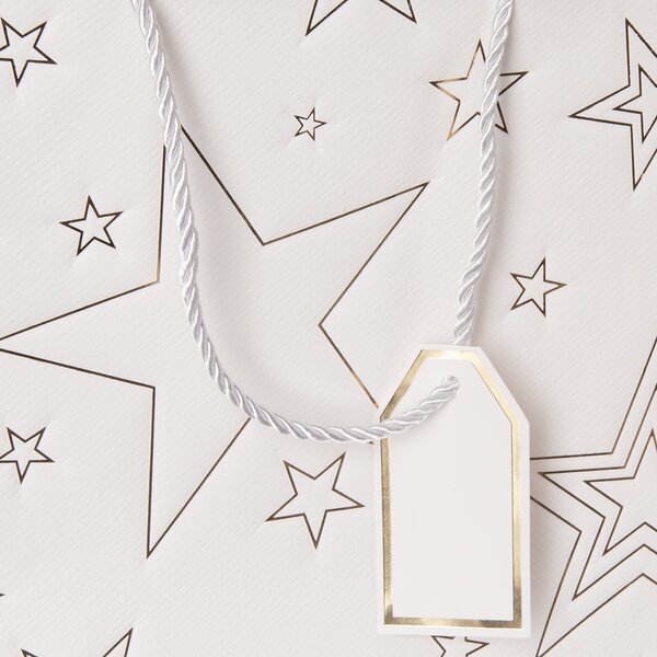 Dárková taška hvězda 31x12x26 cm
