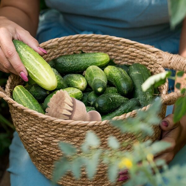 Kartáč EKO kulatý 