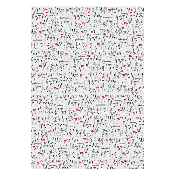 Balicí papír Překvapení 100x70 cm 2 ks