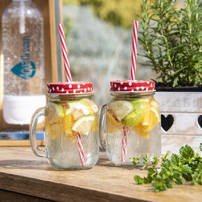 Sklenice s víčkem a brčkem 0,45 l