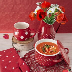 Džbán TEČKA 2,5 l