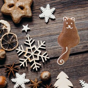 Vykrajovačka kočka