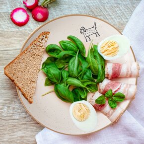 Dezertní talíř STATEK pes pr. 19,5 cm