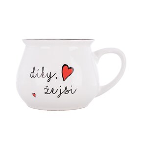 Hrnek Díky, že jsi 0,3 l