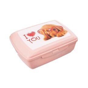 Svačinový box Bran 