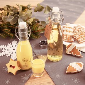 Láhev s klip uzávěrem VLOČKA 0,29 l 