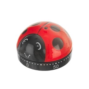 Kuchyňská minutka beruška