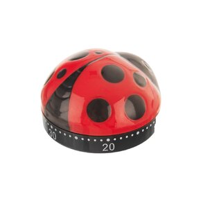 Kuchyňská minutka beruška