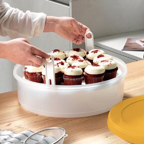 Box s podnosem a víkem 