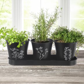 Květináč bylinky BLACK pr. 11cm 3 ks s podtáckem