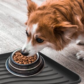 Venkovní rohož-odkapávač 78x38 cm