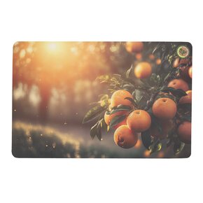 Prostírání 43,5x28,5 cm ovoce