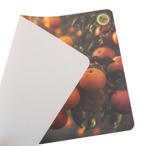 Prostírání 43,5x28,5 cm ovoce