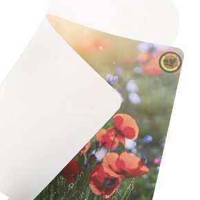 Prostírání 43,5x28,5 cm luční kvítí