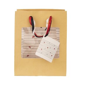 Dárková taška SRDÍČKA 18x10x23 cm 