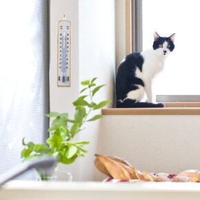 Teploměr univerzální